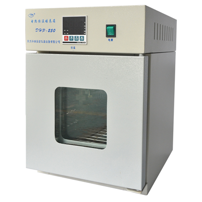 DHP-250电热恒温培养箱